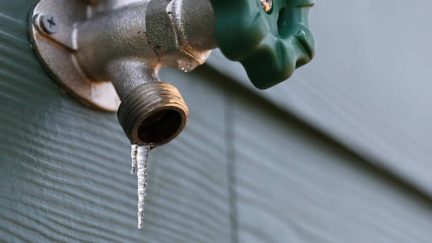 Best Clogged Drain Plumber  in Normandy, MO